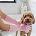 PawPolish szilikon kozmetikai kesztyűk — szőrtelenítő masszázshoz kutyáknak