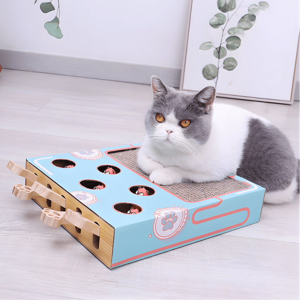 Aire de jeux interactive 3-en-1 pour chat PawPuzzle