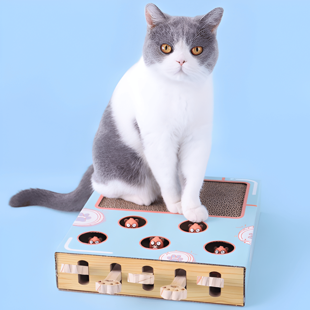 Aire de jeux interactive 3-en-1 pour chat PawPuzzle