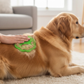 PetPure återanvändbar borttagare för djurhår och ludd — tvättverktyg