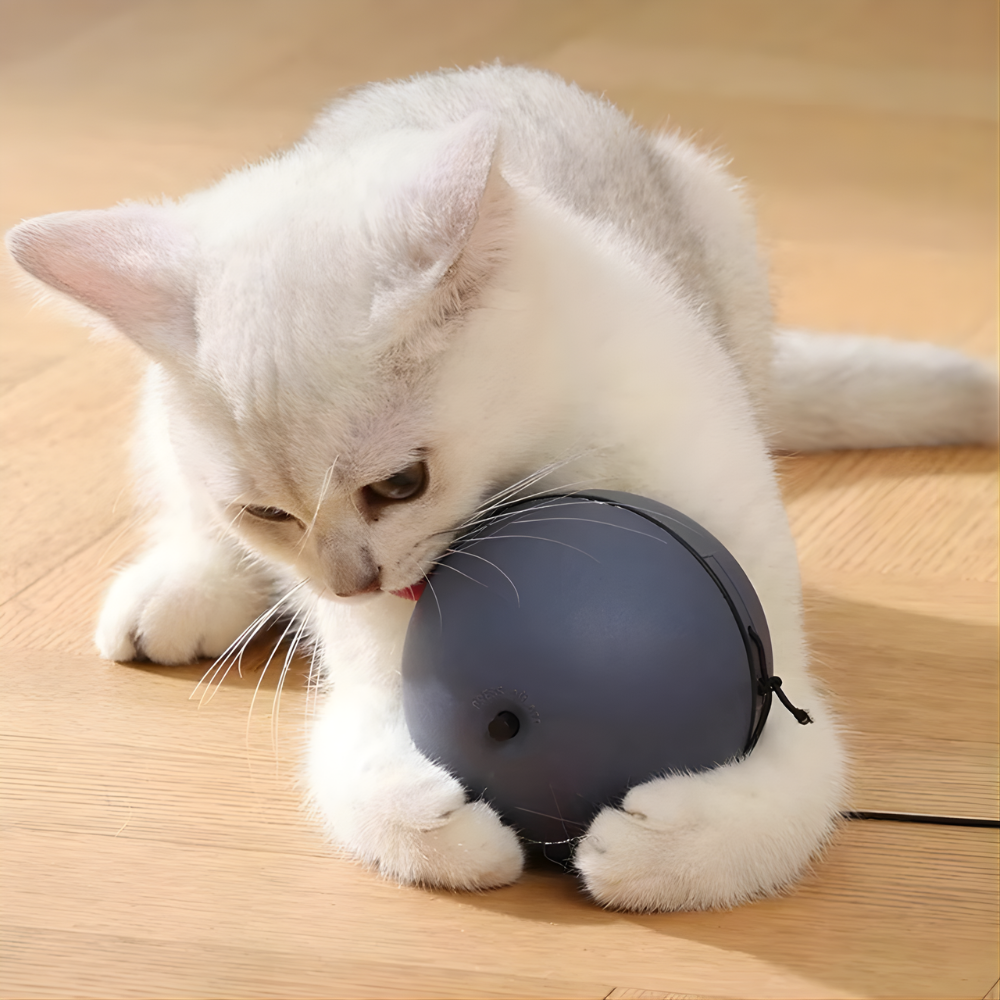 PounceOrbit Smart Rolling Cat Teaser Ball — Touch Activated