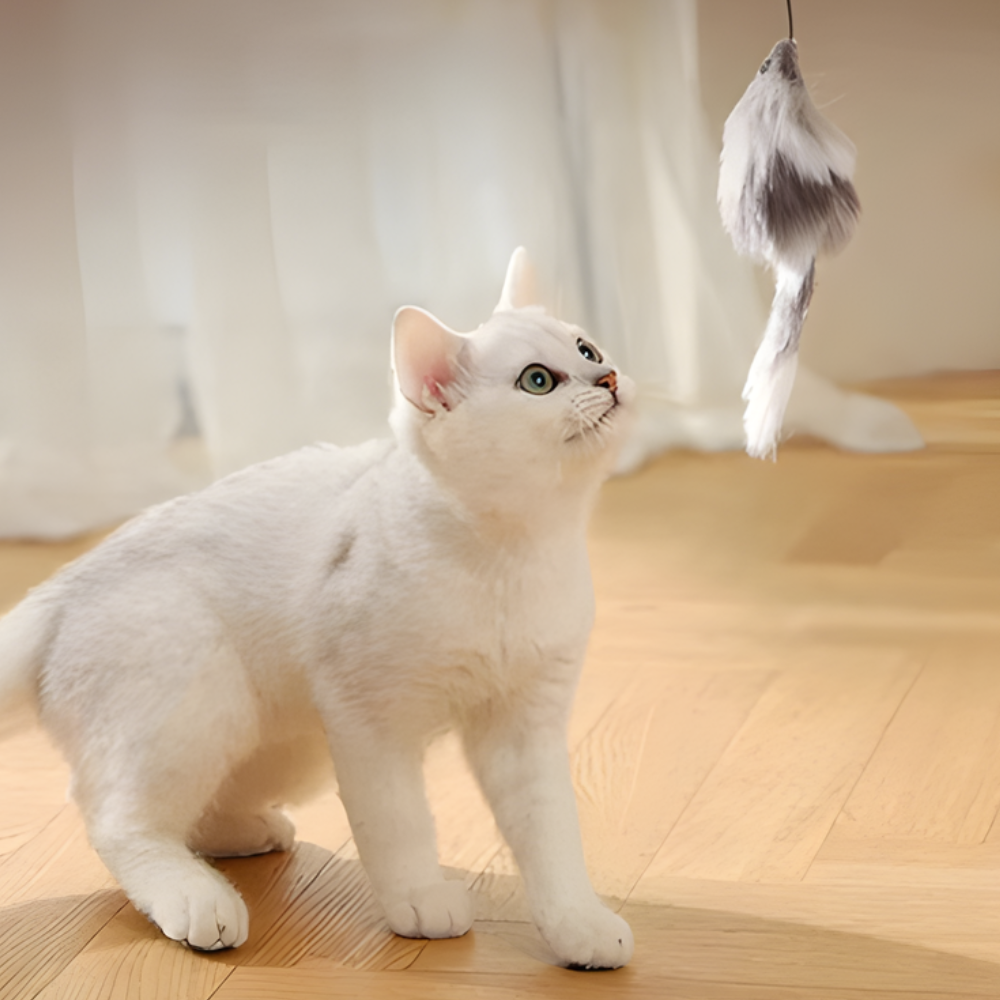 PounceOrbit Smart Rolling Cat Teaser Ball — Touch Activated