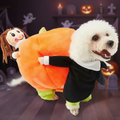 PumpkinRider Αποκριάτικη Στολή Σκύλου — Παιχνιδιάρικος Καβαλάρης Κολοκύθας