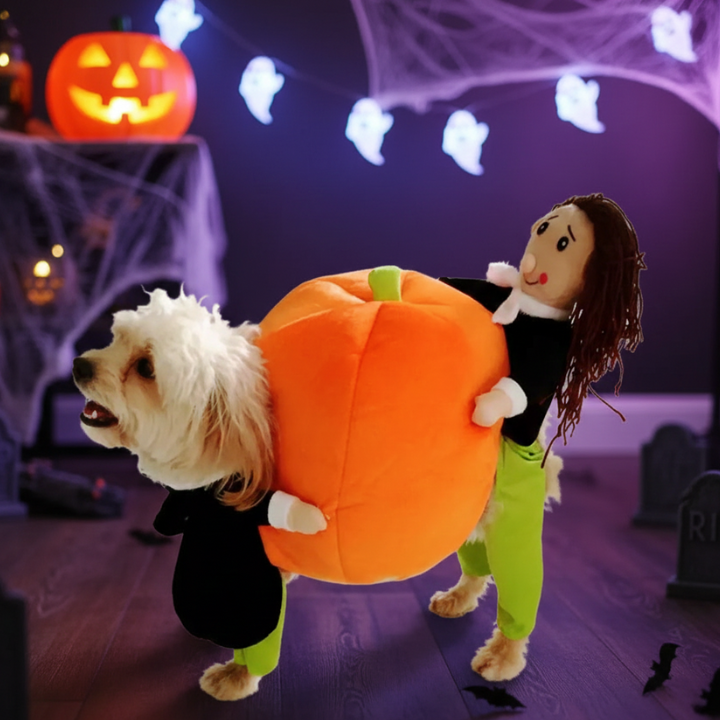 PumpkinRider Αποκριάτικη Στολή Σκύλου — Παιχνιδιάρικος Καβαλάρης Κολοκύθας