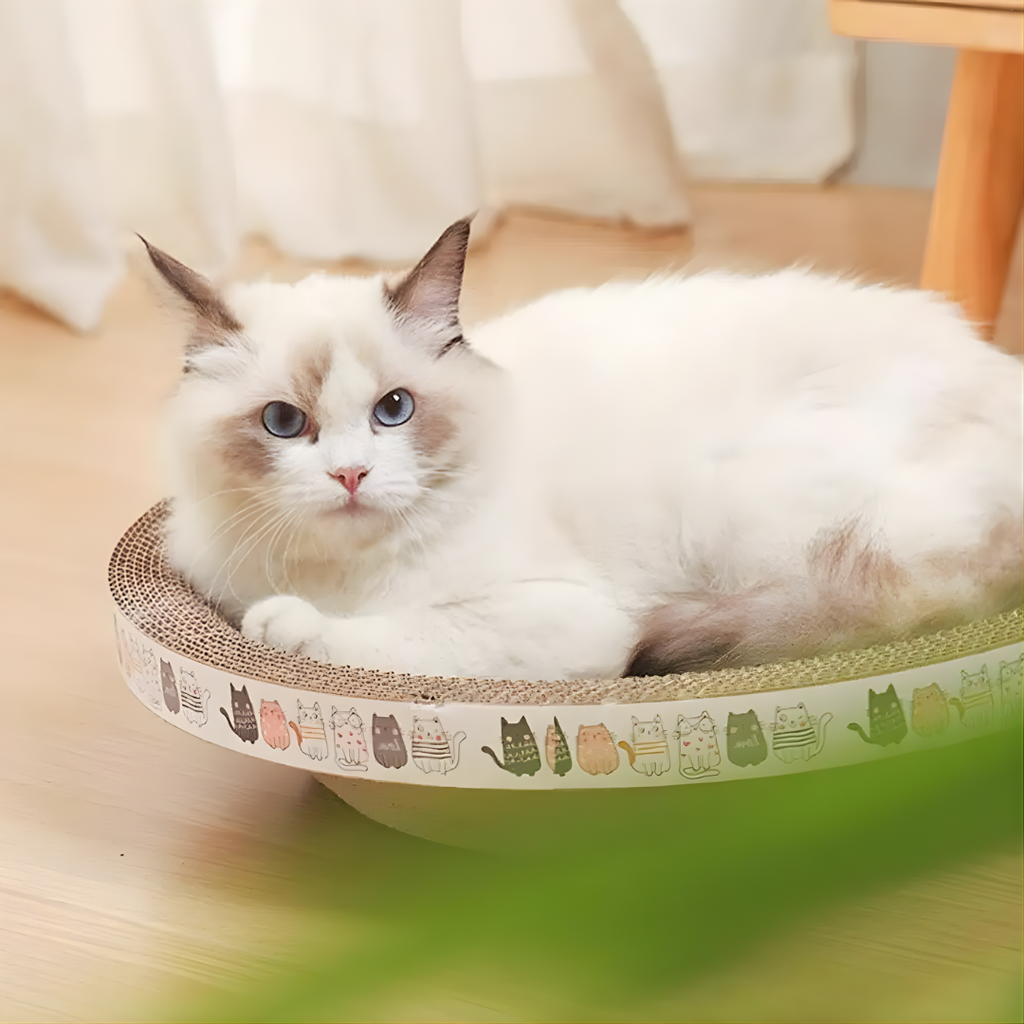 PurrOasis zakřivené kartonové škrabadlo a odpočívadlo pro kočky