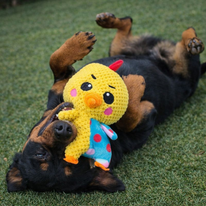 PlushForge Pískací hračka pro psy - nezničitelná plyšová žvýkací hračka