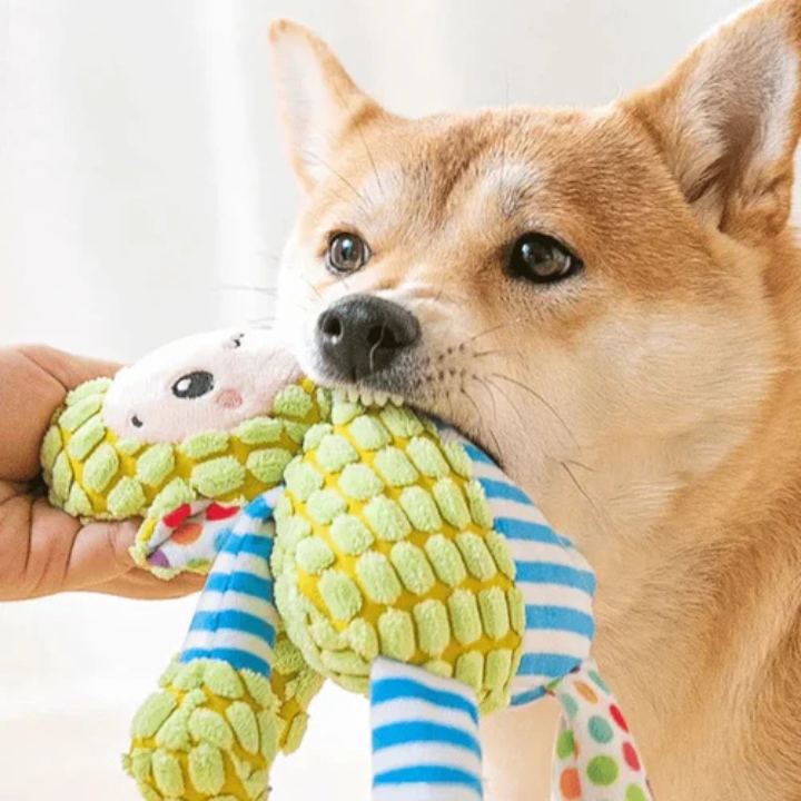 PlushForge Pískací hračka pro psy - nezničitelná plyšová žvýkací hračka