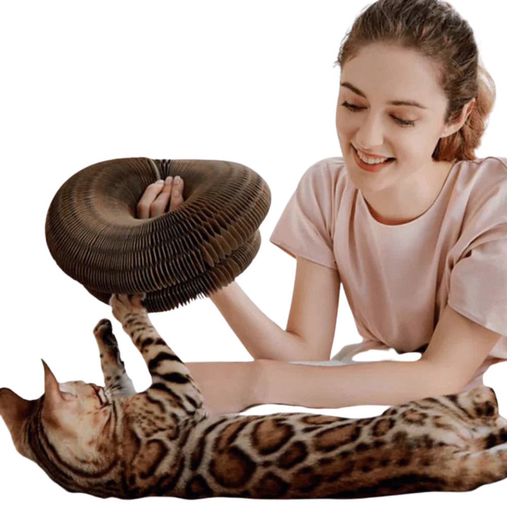PurrPlay skládací škrabadlo pro kočky - odpočívadlo na škrábání a hraní