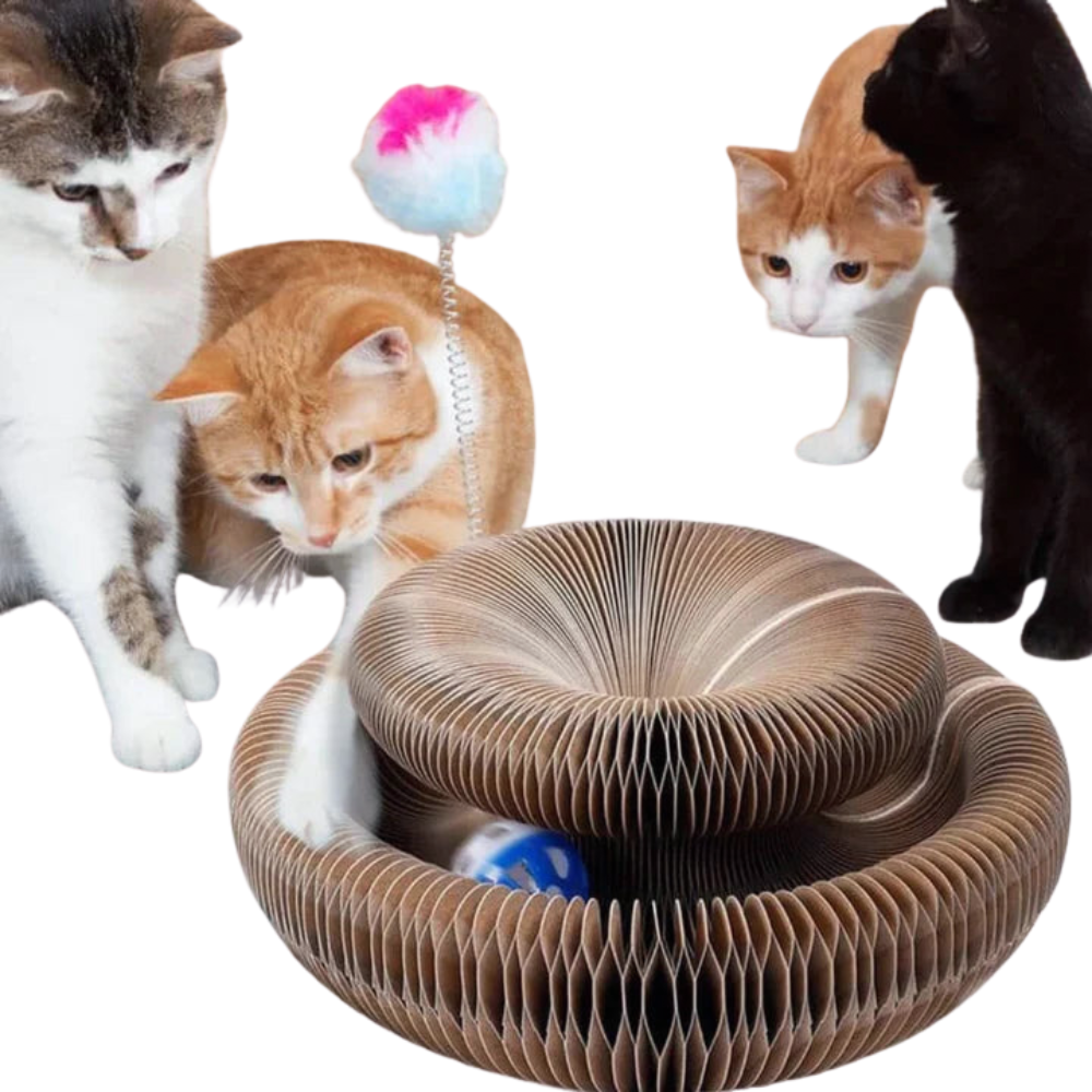 PurrPlay skládací škrabadlo pro kočky - odpočívadlo na škrábání a hraní