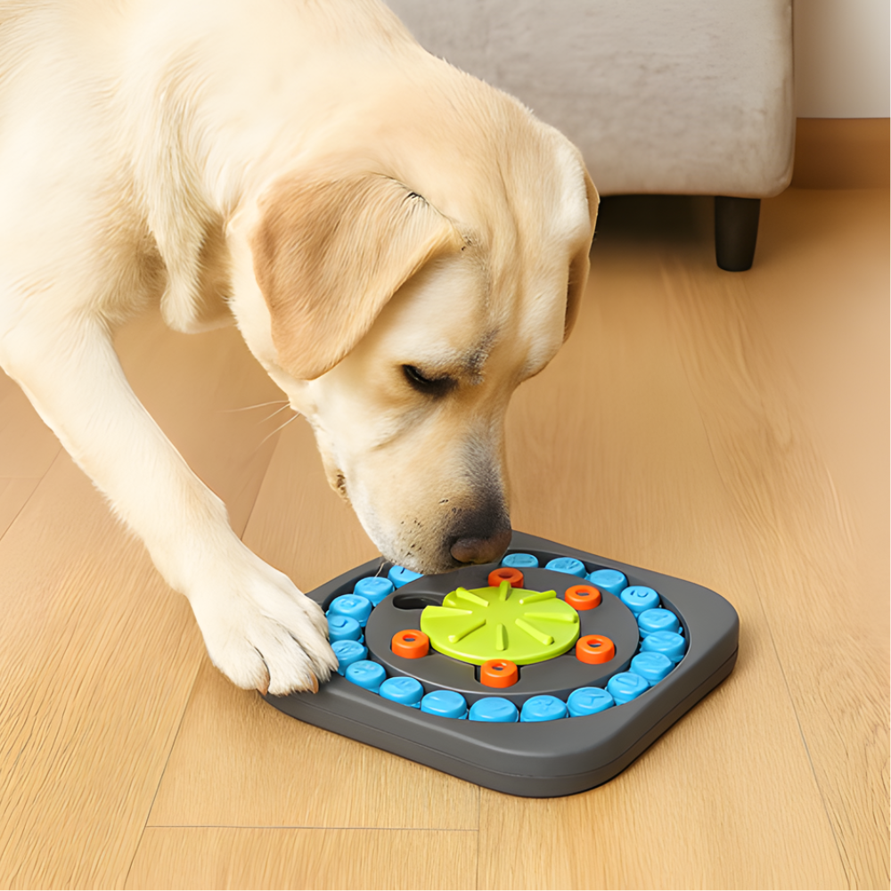 Διαδραστική ταΐστρα-παζλ σκύλου PuzzleBowl — Δίσκος αργής κατανάλωσης