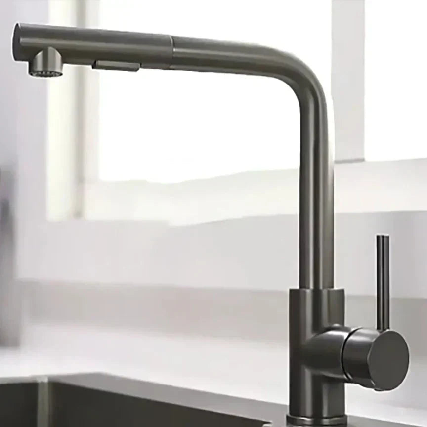 Stainless Steel Kitchen Faucet with Dual Spray Mode - Black Pull-Out - Esilora