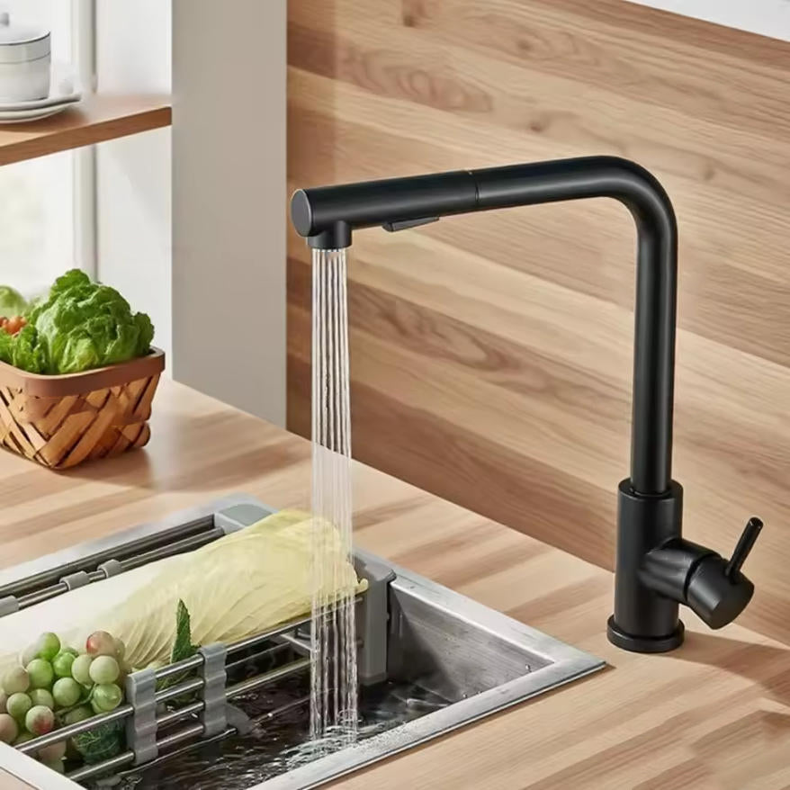 Stainless Steel Kitchen Faucet with Dual Spray Mode - Black Pull-Out - Esilora