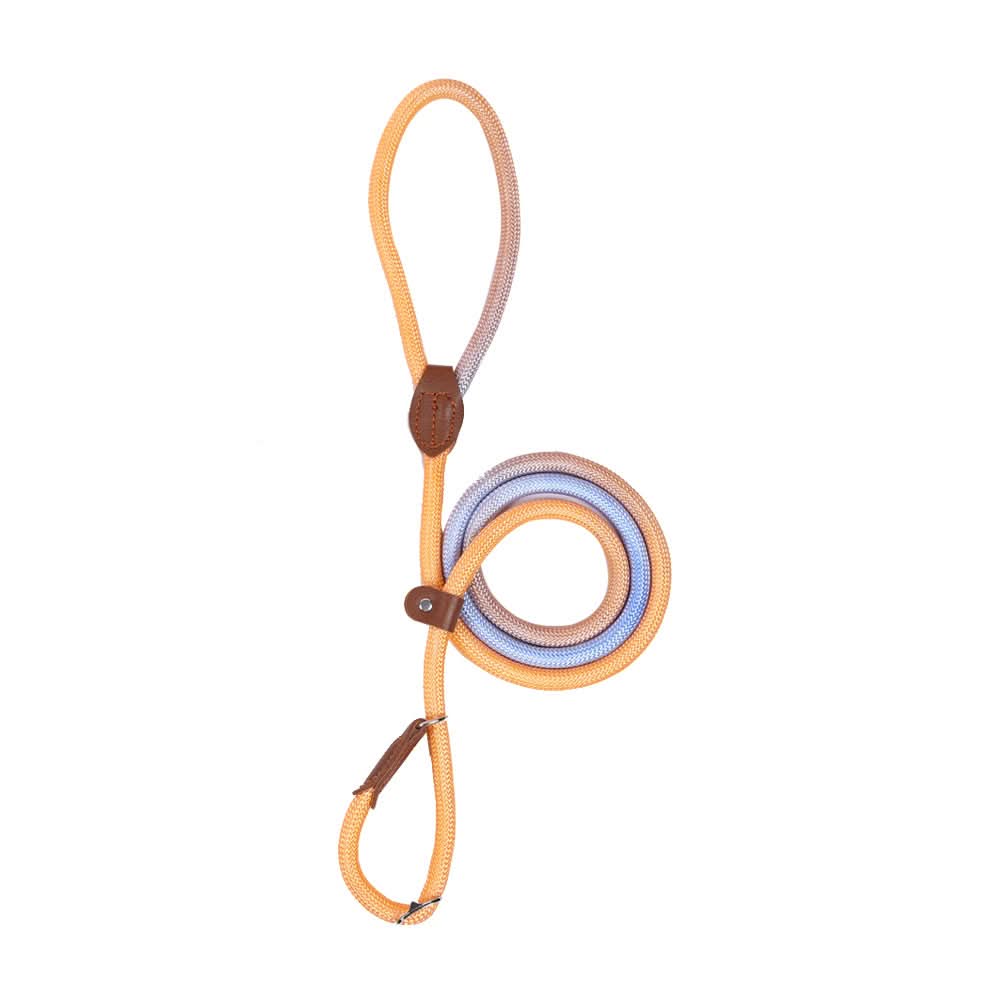 Colorful Dog Leash From VividTrail For Stylish Dog Owners Safe Walks Durable Fabric