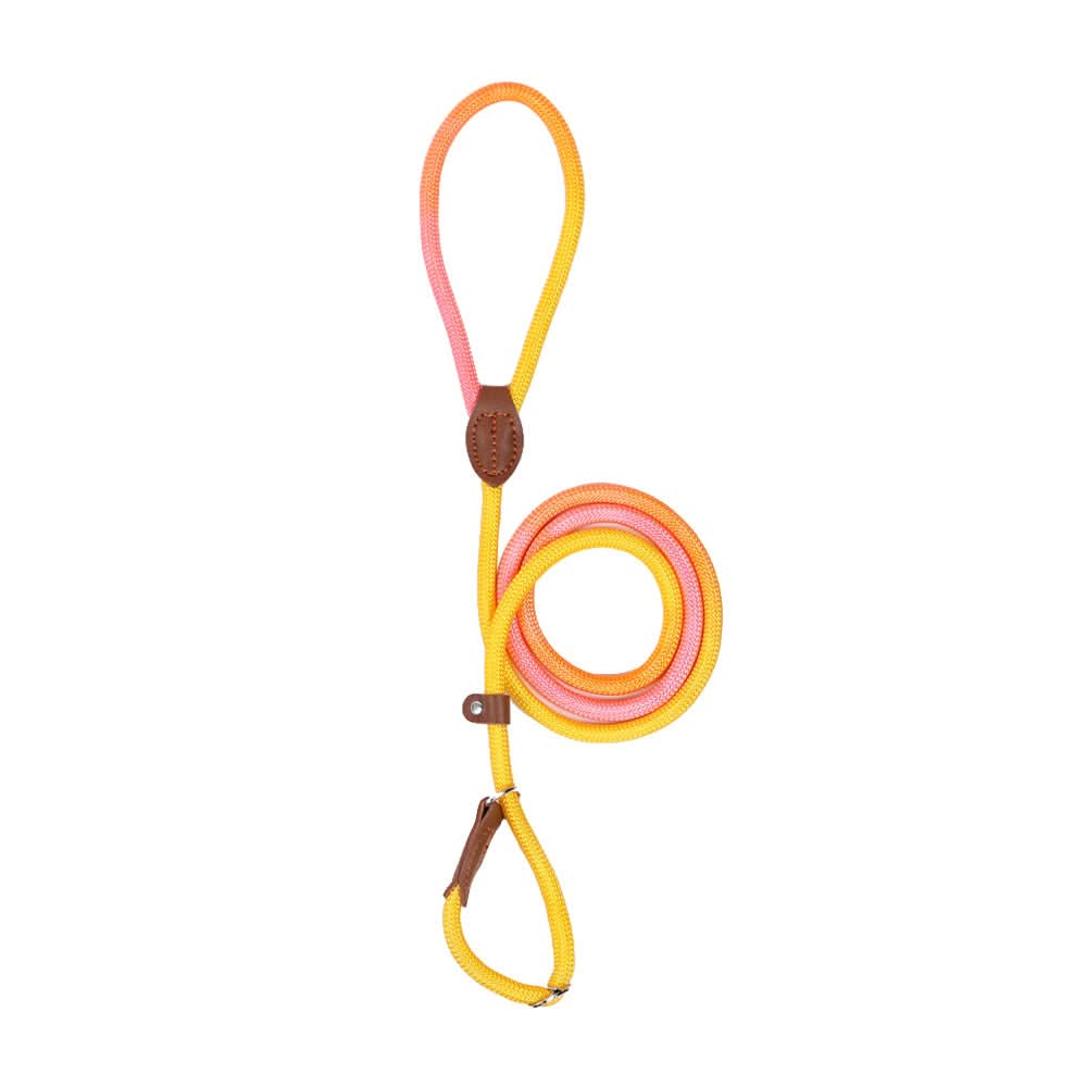 Colorful Dog Leash From VividTrail For Stylish Dog Owners Safe Walks Durable Fabric