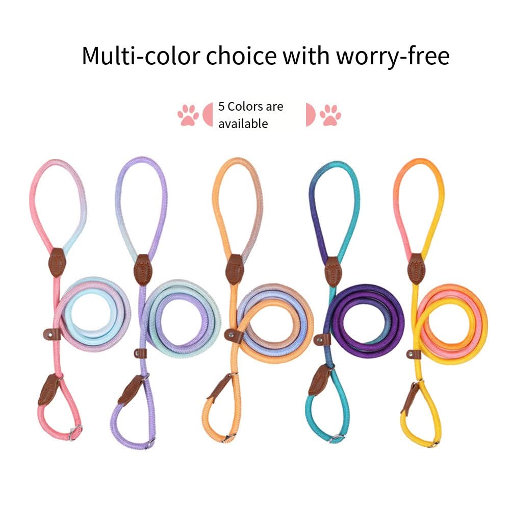 Colorful Dog Leash From VividTrail For Stylish Dog Owners Safe Walks Durable Fabric