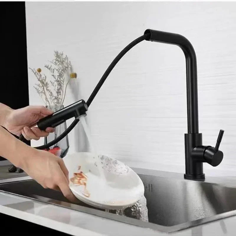 Stainless Steel Kitchen Faucet with Dual Spray Mode - Black Pull-Out - Esilora