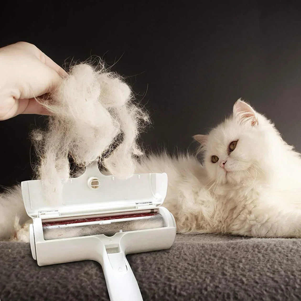 Rullo per rimuovere i peli degli animali domestici - Esilora