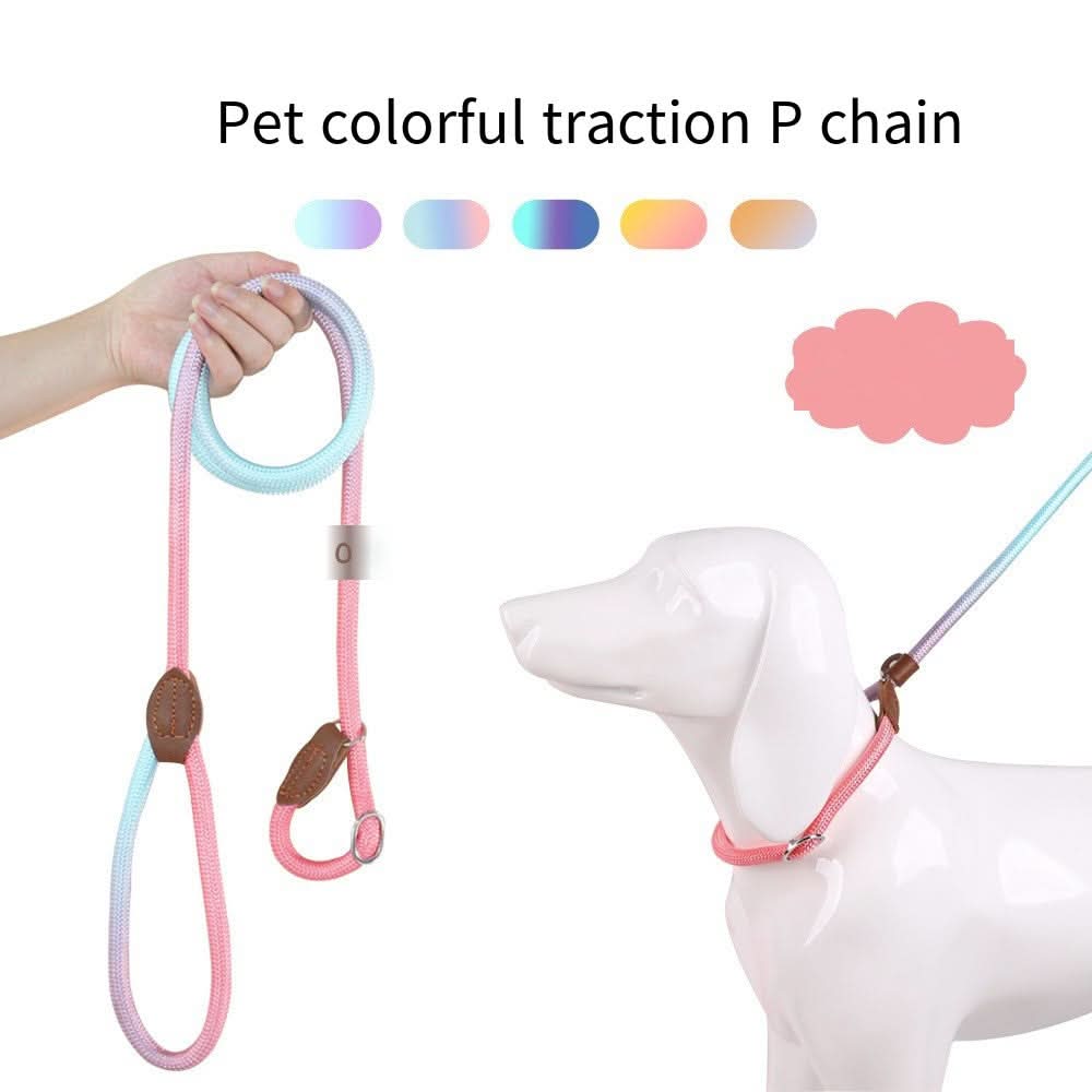 Colorful Dog Leash From VividTrail For Stylish Dog Owners Safe Walks Durable Fabric