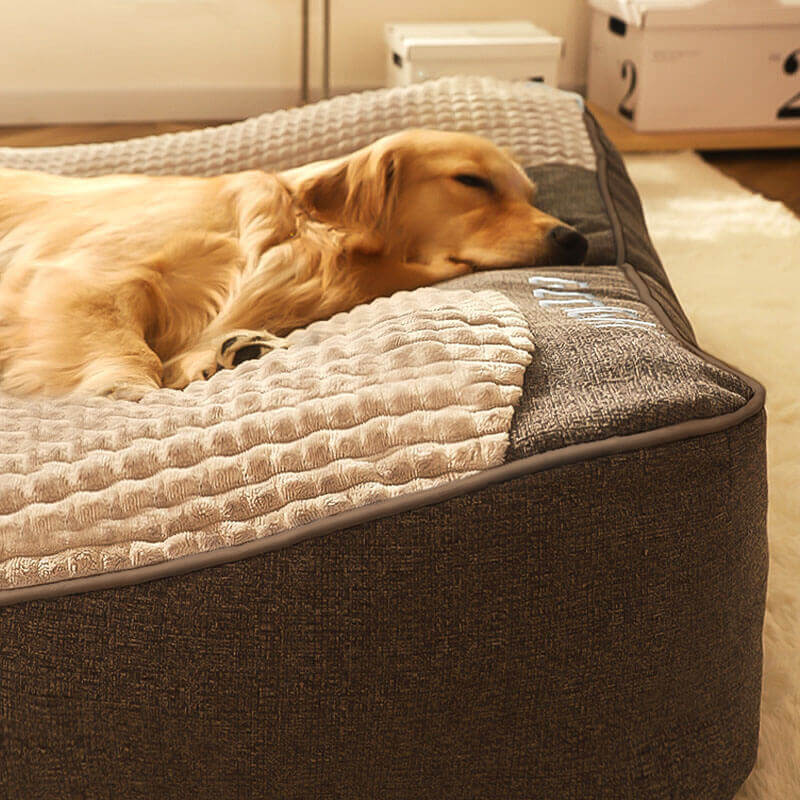 Large scratch‑resistant dog bed with orthopedic spine support