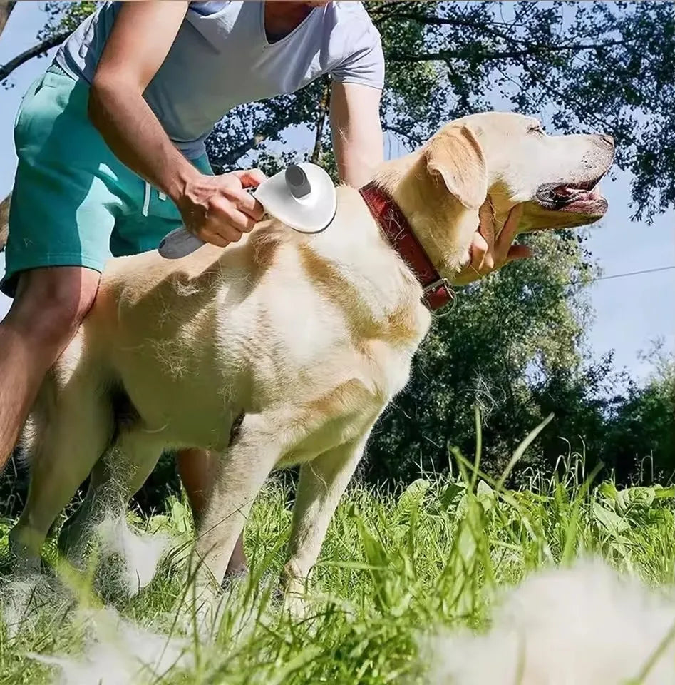 Kartáč na odstraňování zvířecích chlupů pro psy a kočky – hřeben na dlouhou srst – Esilora