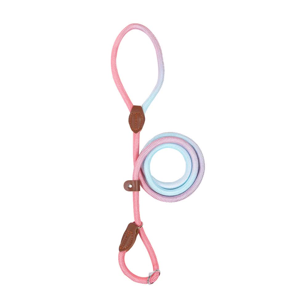 Colorful Dog Leash From VividTrail For Stylish Dog Owners Safe Walks Durable Fabric