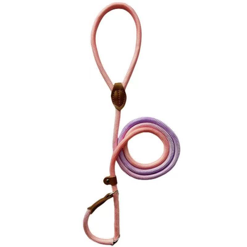 Colorful Dog Leash From VividTrail For Stylish Dog Owners Safe Walks Durable Fabric