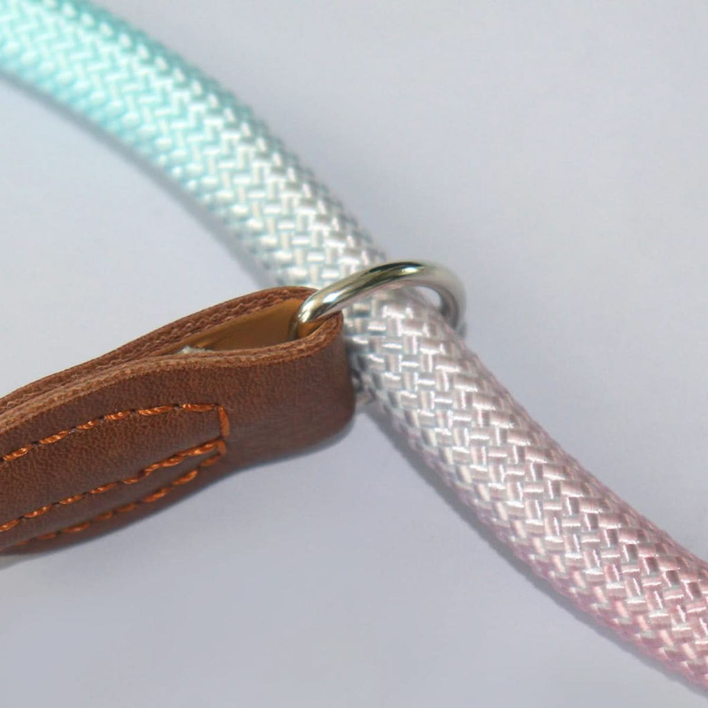 Colorful Dog Leash From VividTrail For Stylish Dog Owners Safe Walks Durable Fabric