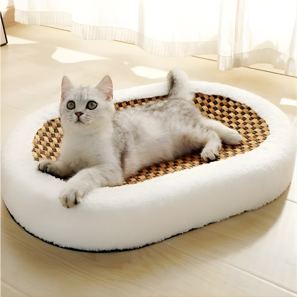ScratchNest Curved Cat Scratch Lounge Bed — Scratch & Rest