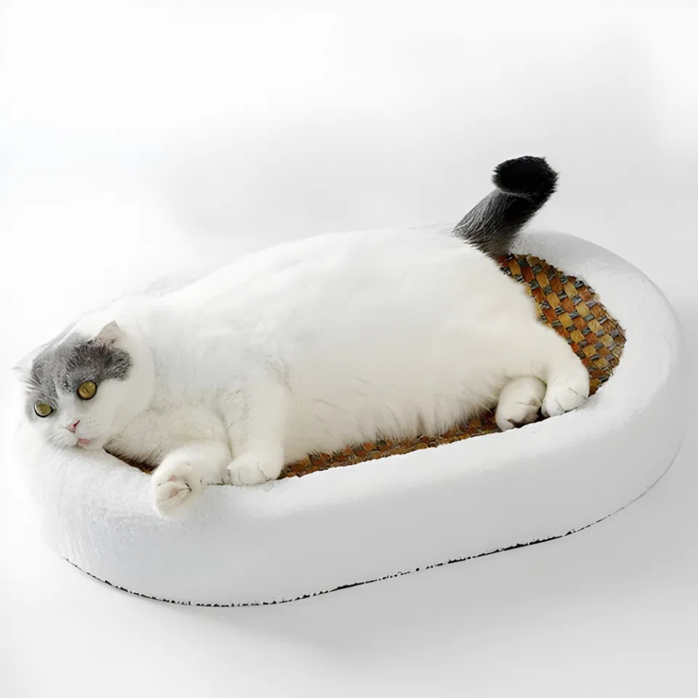ScratchNest Curved Cat Scratch Lounge Bed — Scratch & Rest