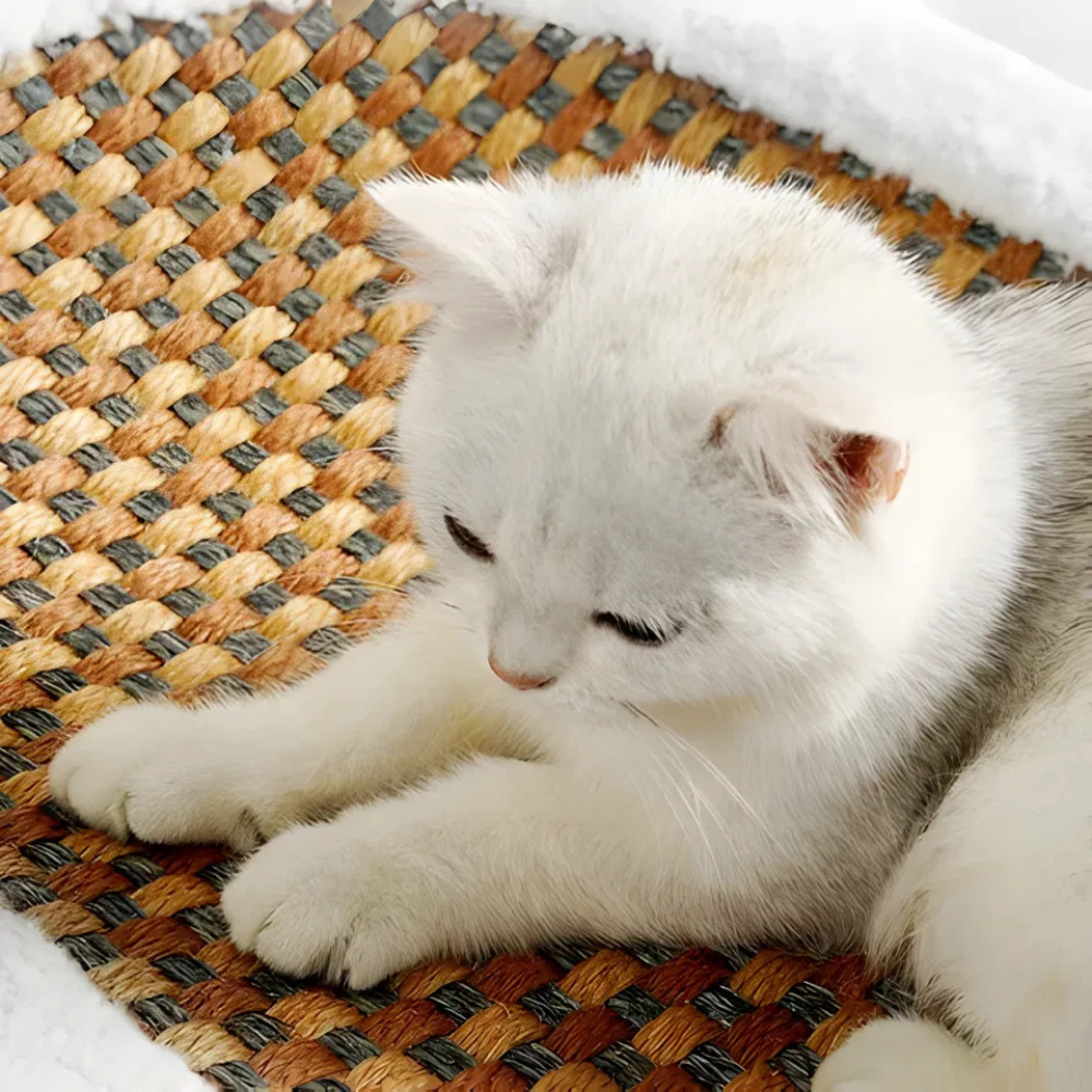 ScratchNest Curved Cat Scratch Lounge Bed — Scratch & Rest