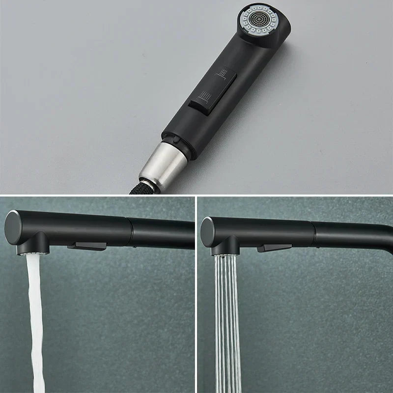 Stainless Steel Kitchen Faucet with Dual Spray Mode - Black Pull-Out - Esilora