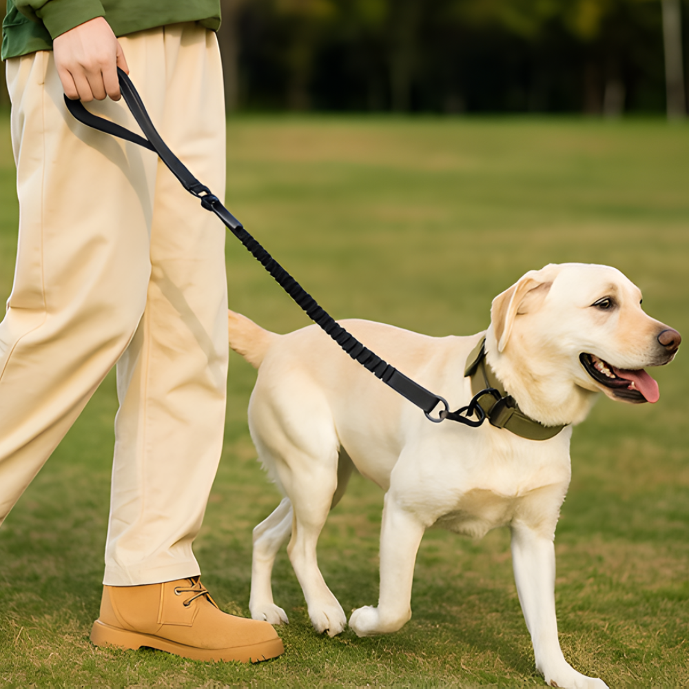 SecureStride Dog Leash — Heavy-Duty Design, Car Seatbelt Clip