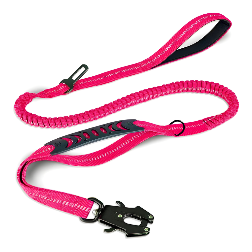 SecureStride Dog Leash — Heavy-Duty Design, Car Seatbelt Clip