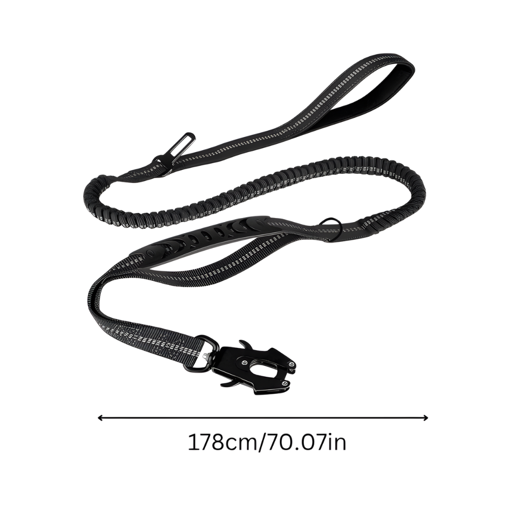SecureStride Dog Leash — Heavy-Duty Design, Car Seatbelt Clip