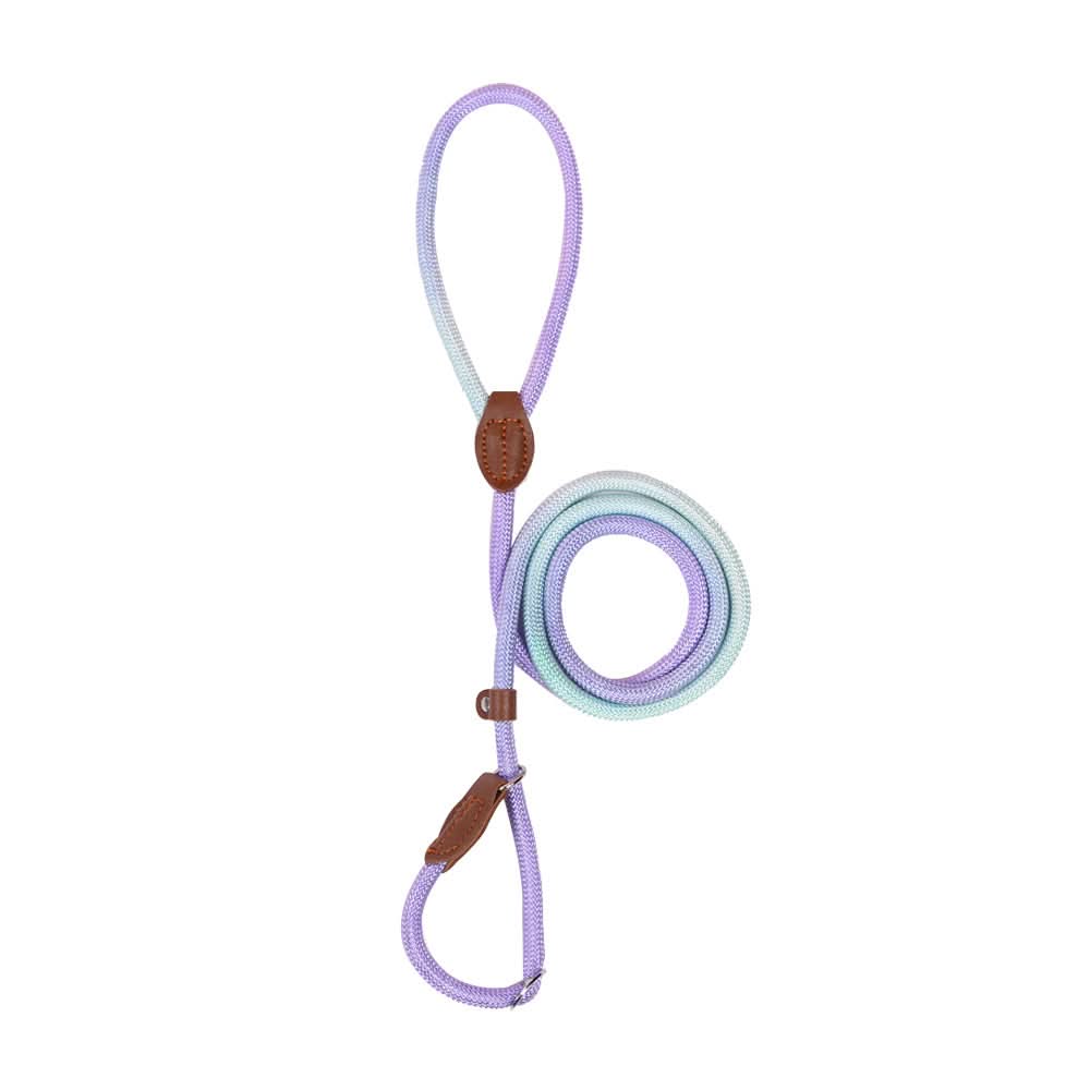 Colorful Dog Leash From VividTrail For Stylish Dog Owners Safe Walks Durable Fabric