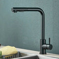 Stainless Steel Kitchen Faucet with Dual Spray Mode - Black Pull-Out - Esilora