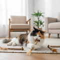 SilverSmile Natural Silvervine Chew Sticks for Cat Dental Care
