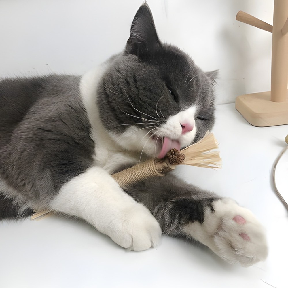 SilverSmile Natural Silvervine Chew Sticks for Cat Dental Care