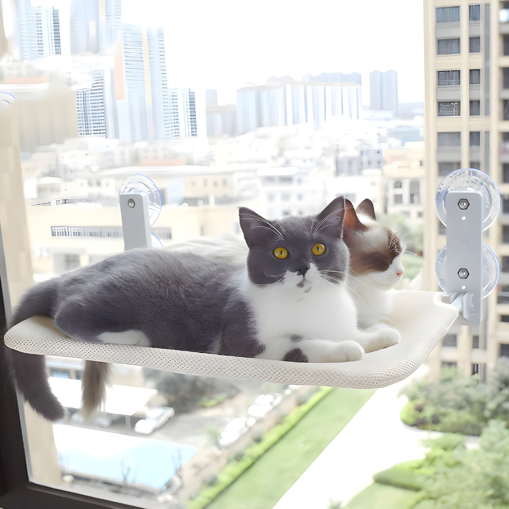SkyLedge Window Cat Hammock — Secure Suction Cup Perch