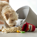 SniffRamen Interactive Snuffle Dog Toy — Hidden Treat Pockets