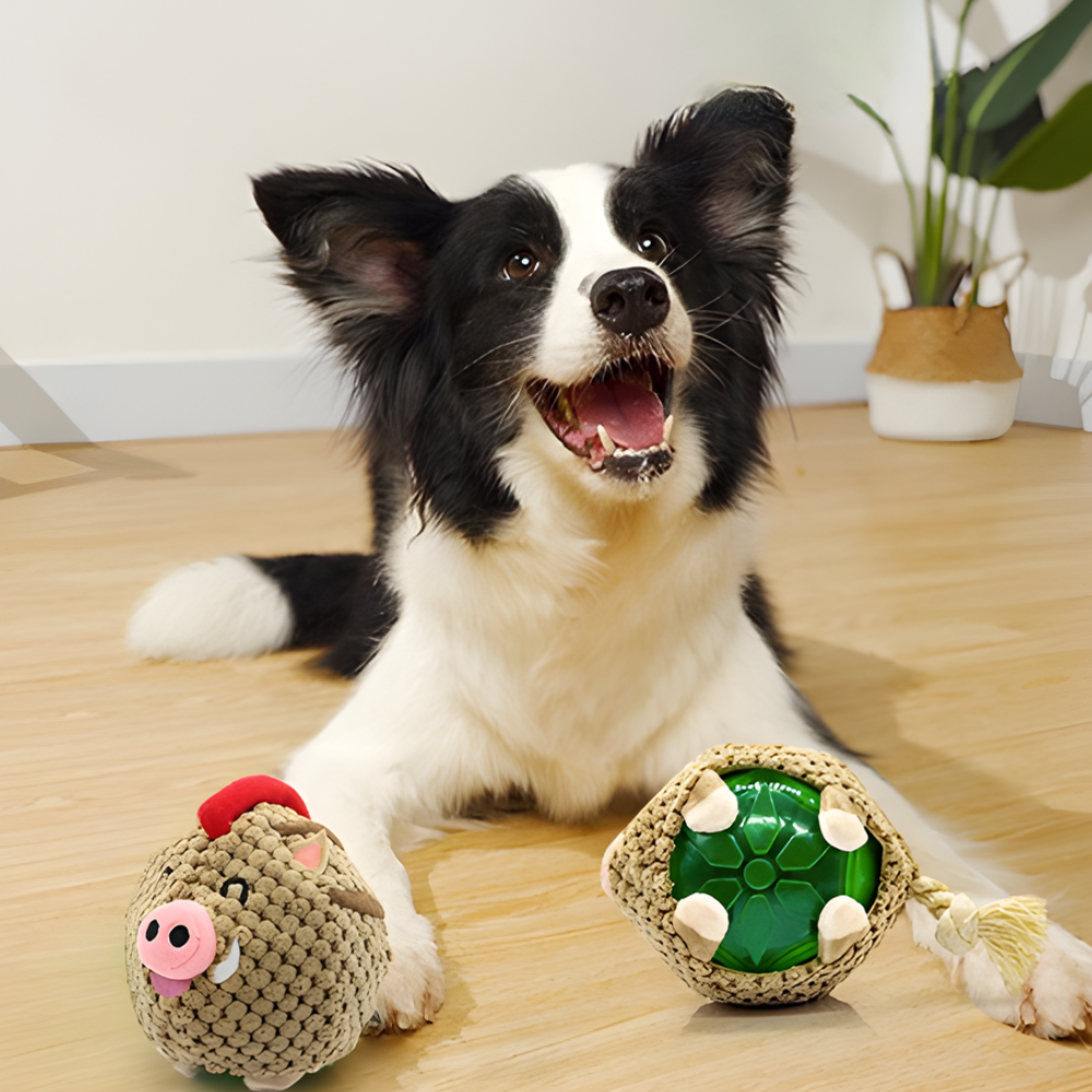 SnuffleBoar Plush Squeaky Rubber Dog Ball — Interactive Toy