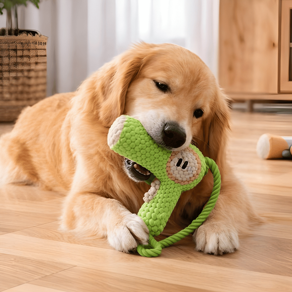 SnuggleChew Plush Squeaky Dental Comfort Toy for Dogs