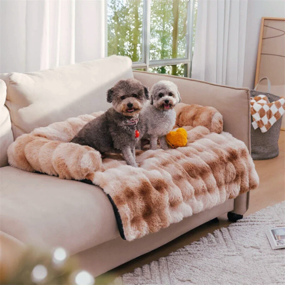 SnuggleLuxe Plush Dog Bed — Raised Edge Cozy Resting Cushion