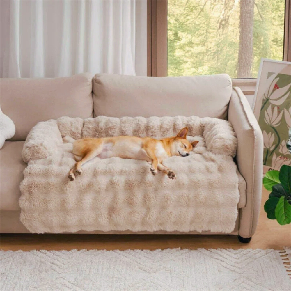 SnuggleLuxe Plush Dog Bed — Raised Edge Cozy Resting Cushion