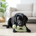 SnuggleSpiral Snail-Shaped Dental Chew Treat Dispenser Toy
