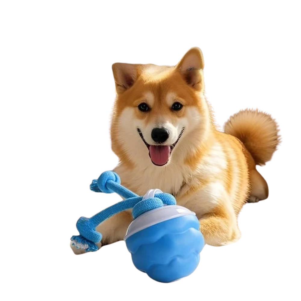 SpinTugMax Spinning Dog Tug Toy — Interactive Rope Play