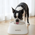 SplashGuard Spillproof Floating Dog Water Bowl Dispenser