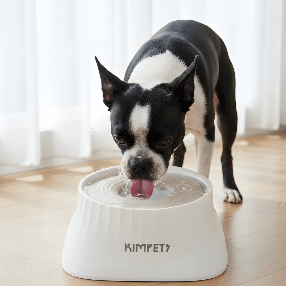 SplashGuard Spillproof Floating Dog Water Bowl Dispenser