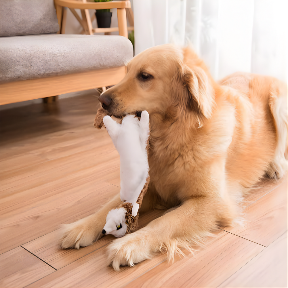 SqueakStretch Long Plush Dog Squeaker Toys — Fetch Set