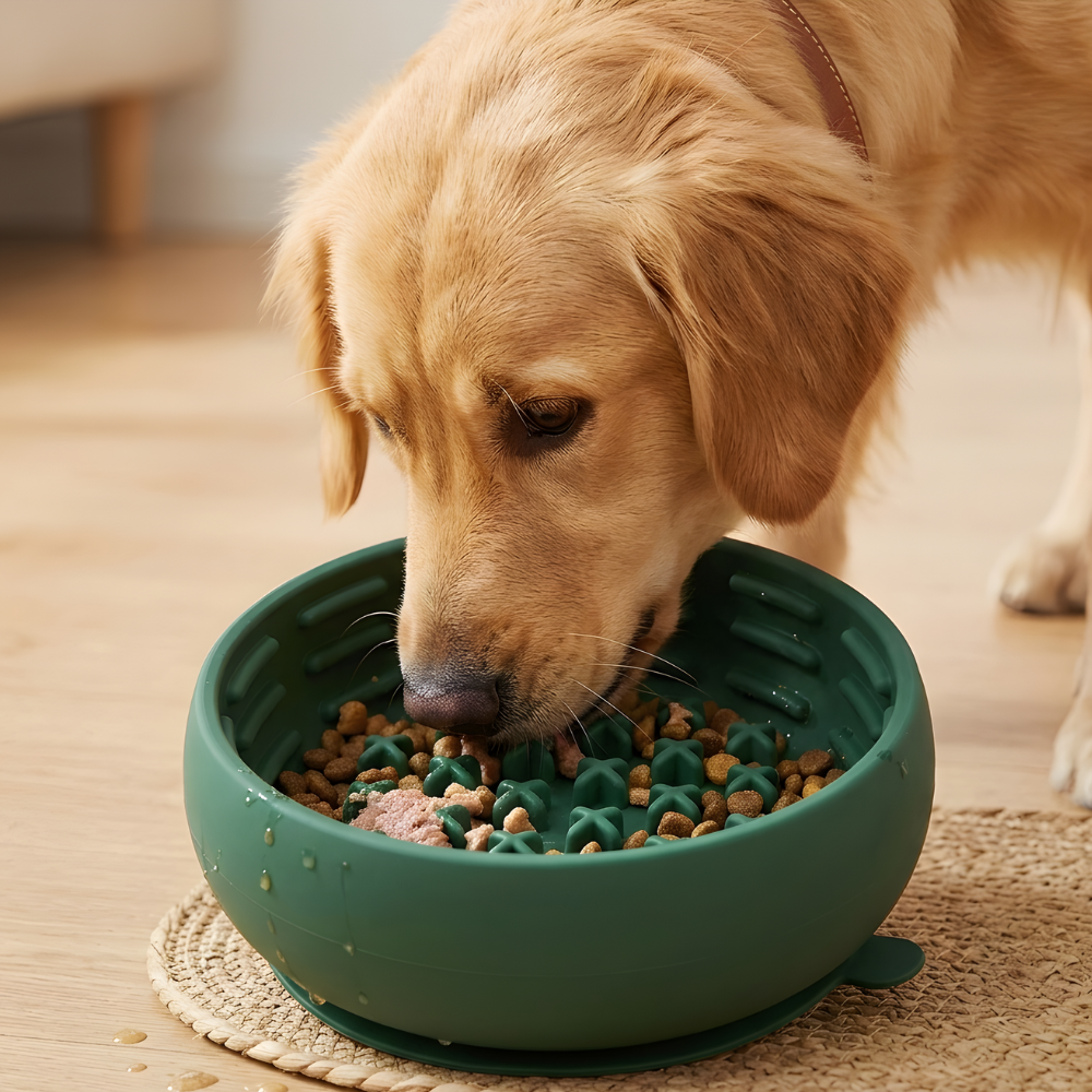 SteadyBite Silicone Slow Feeder Dog Bowl — Raised Grooves, Anti-Spill Rim